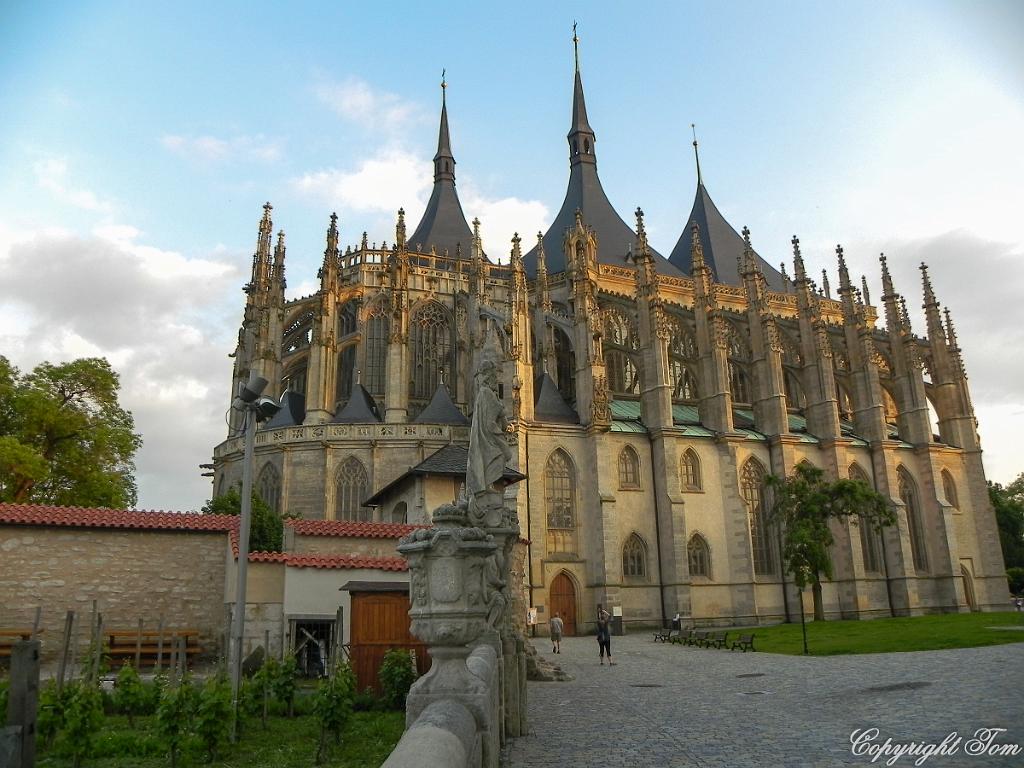 DSCN6018.jpg
