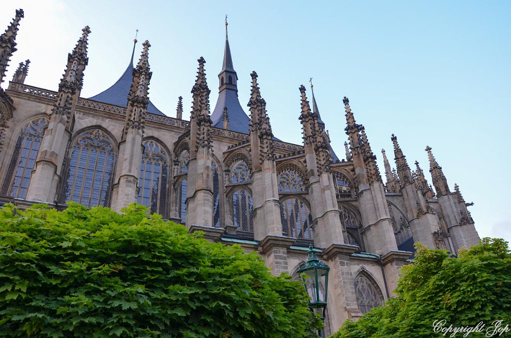 DSC_0734.jpg