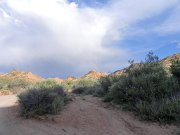 DSCN0155