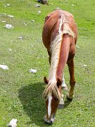 DSCN0277