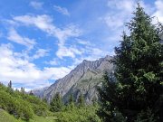 DSCN0294