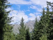 DSCN0303