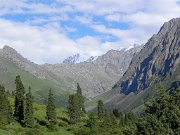 DSCN0309