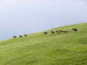 DSCN9916