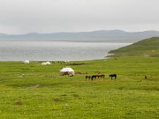 DSCN9926