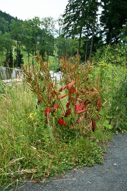 100720-17.jpg