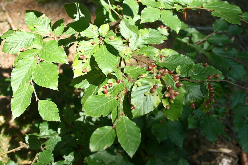 100721-09.jpg