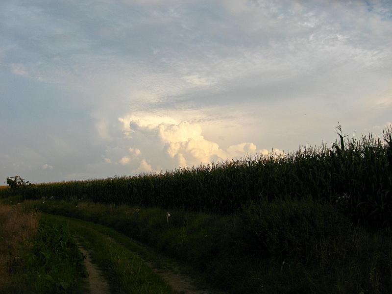 IMG_5866.jpg