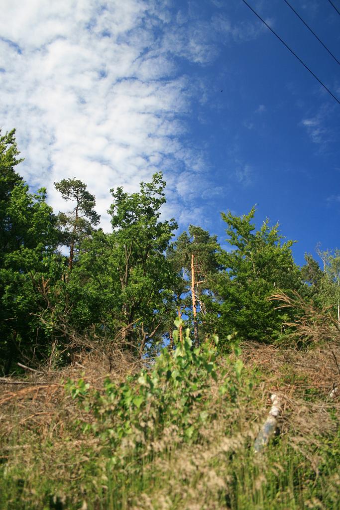 120617-03.JPG
