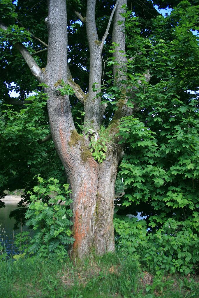 120617-09.JPG