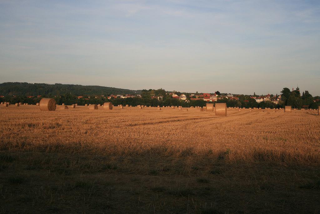 120818-03.JPG