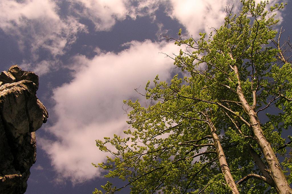 P5100046.jpg