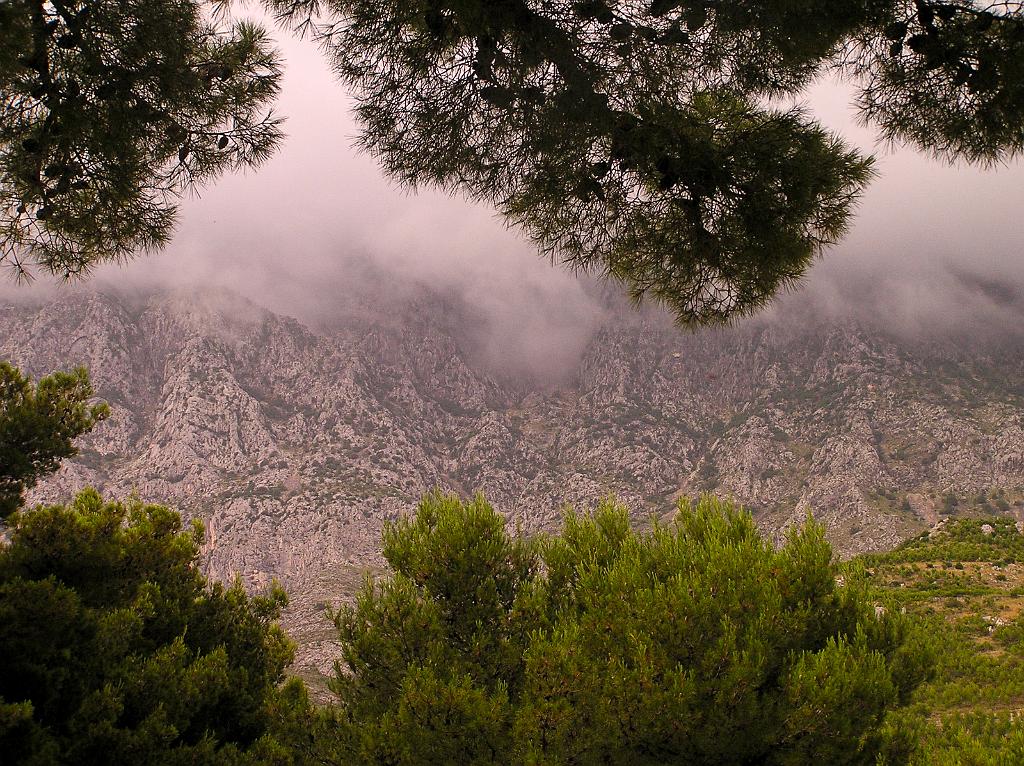 P6250343.jpg