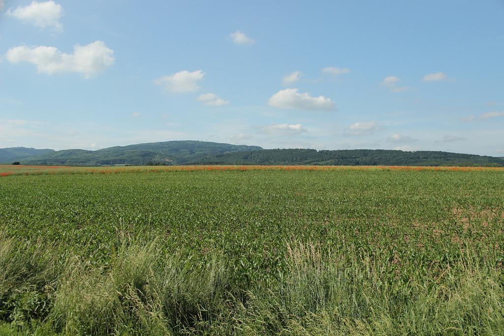 150614-01.JPG