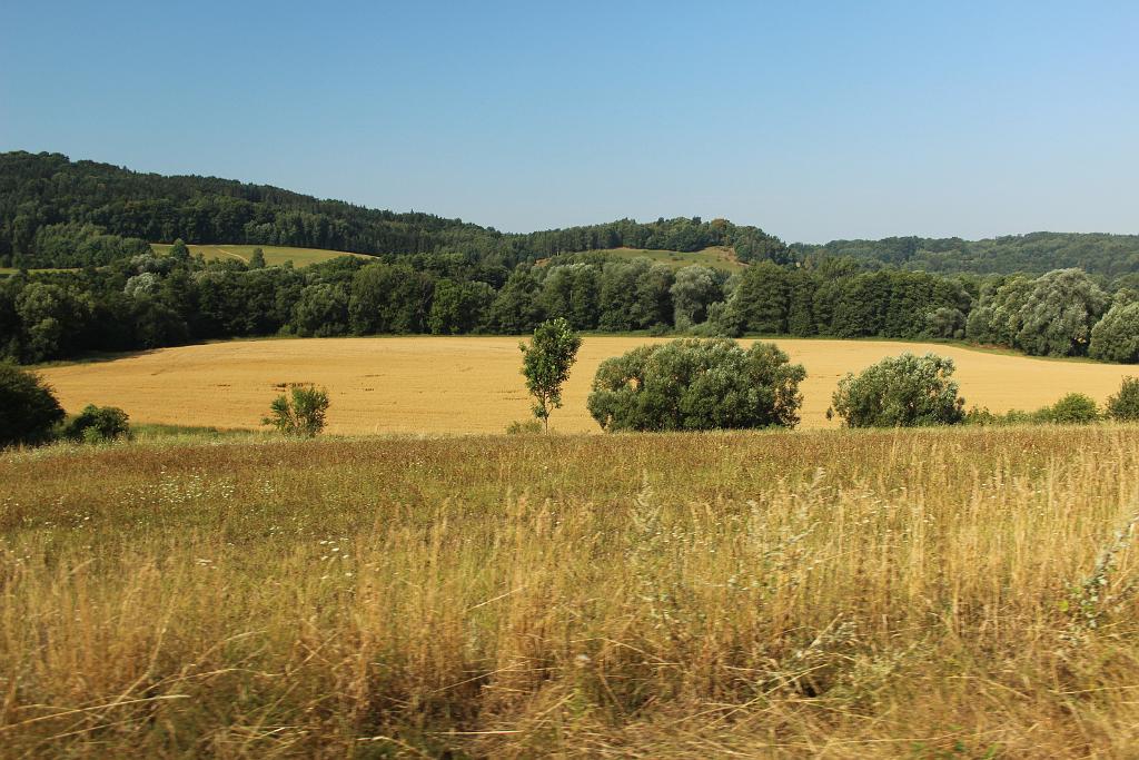 150808-45.JPG