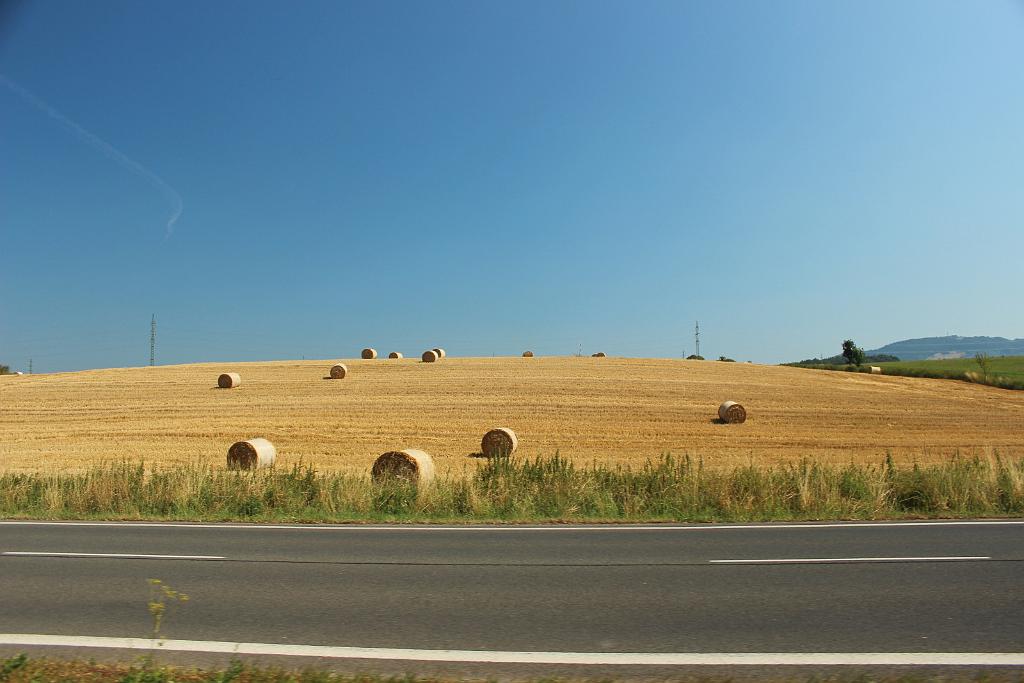 150808-54.JPG