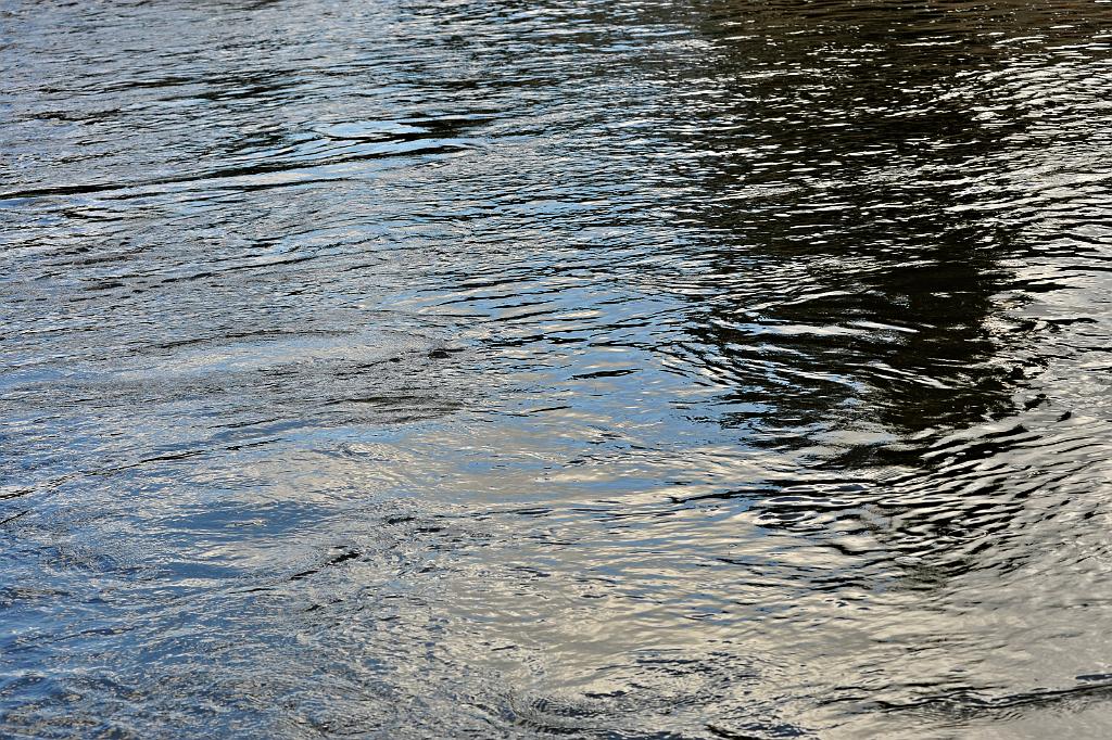 2016_07_67.JPG