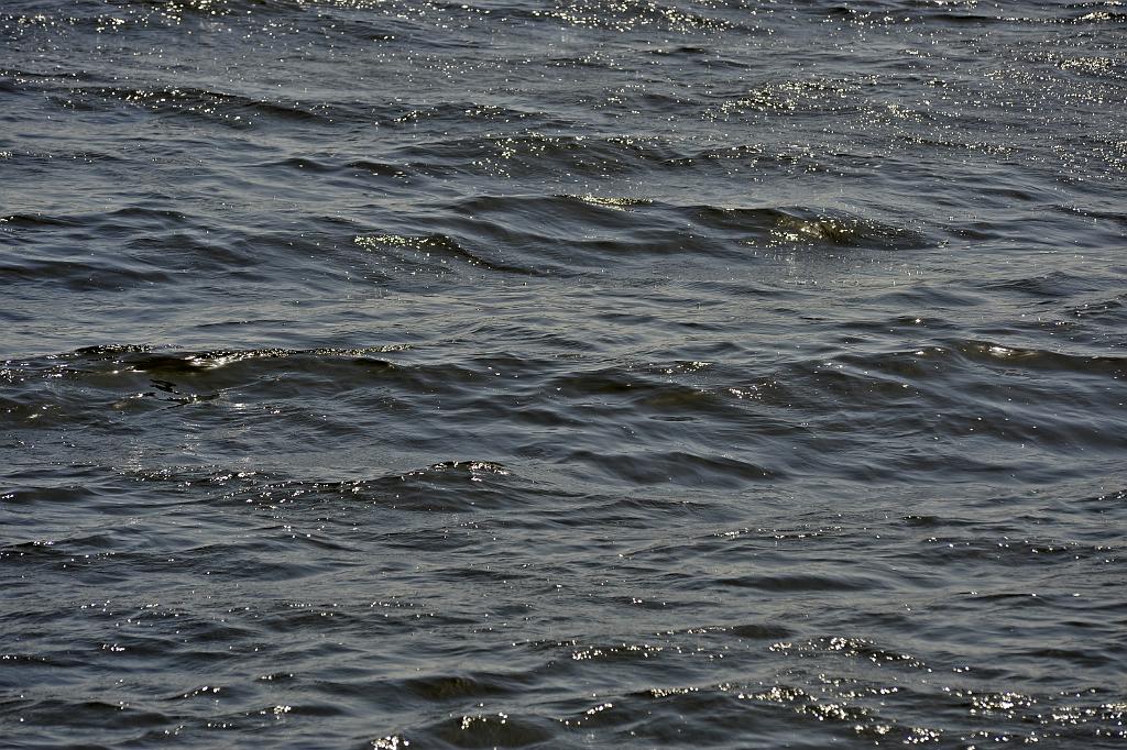 2016_07_76.JPG