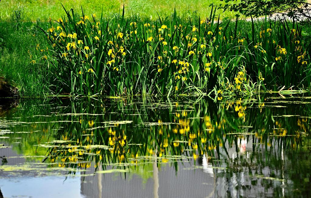 2016_07_9.JPG