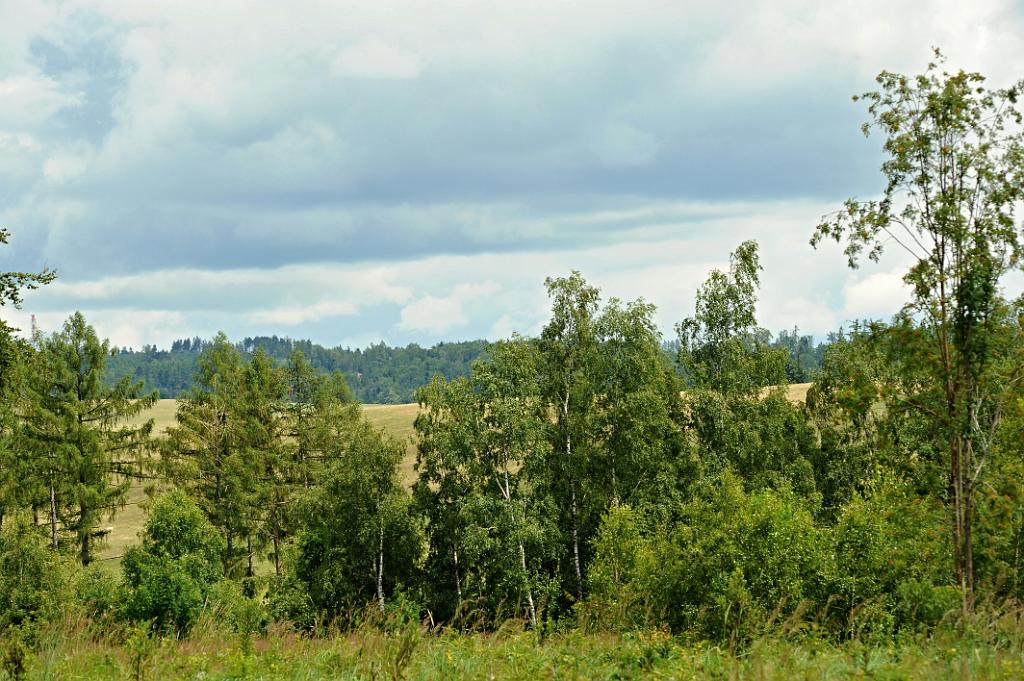 leto_012_03.JPG - Kružberská přehrada a okolí