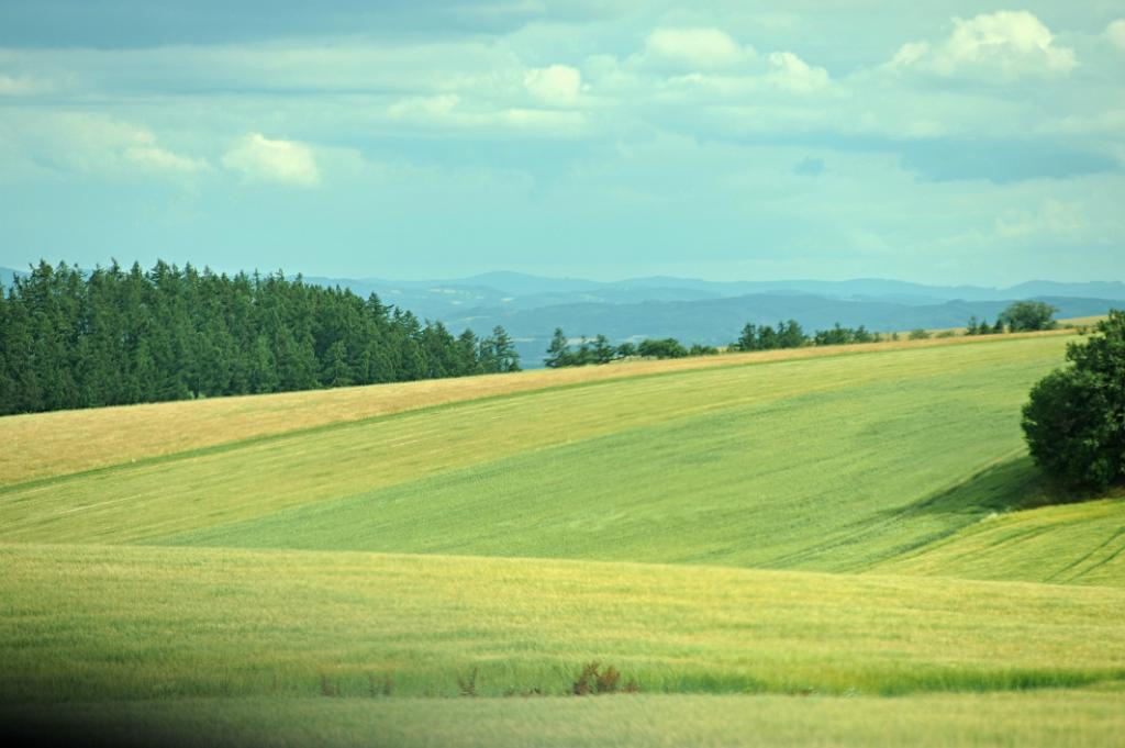 leto_012_26.JPG - Kružberská přehrada a okolí