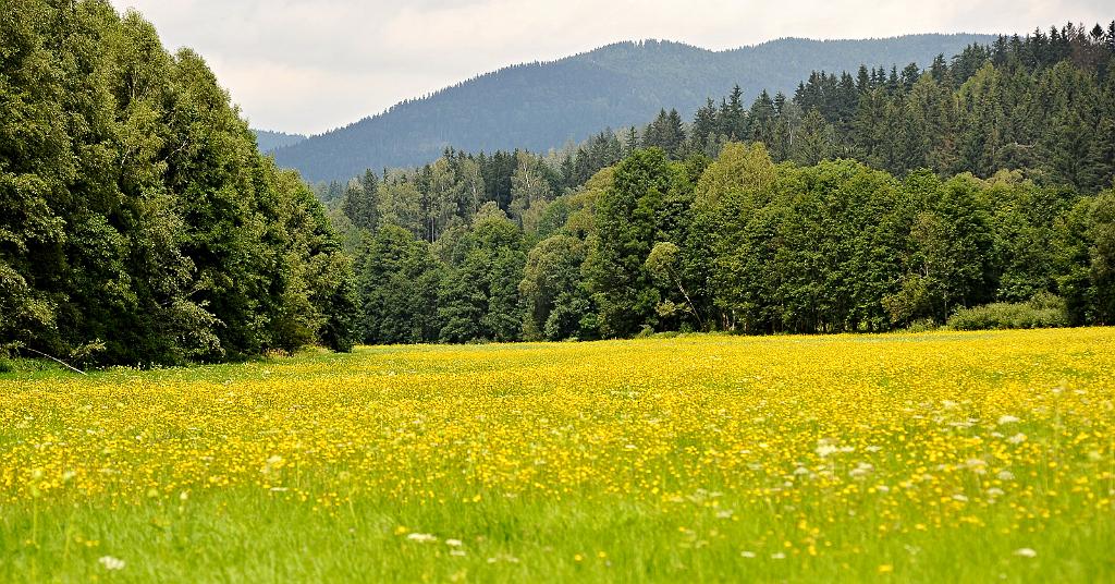 cs_050_10.jpg - Paprsek