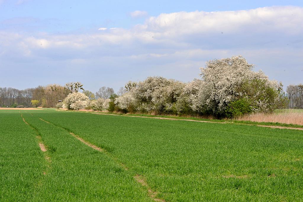 duben_002_04.jpg - Les Království