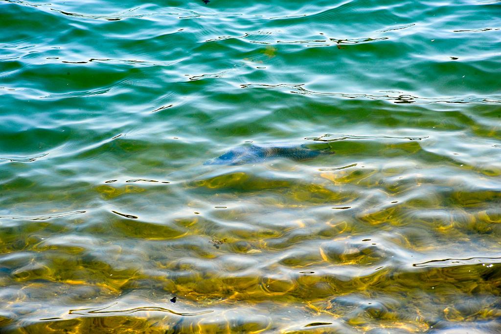 duben_063_01.jpg - Dombas
