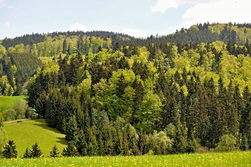 kveten_006_08.jpg - Buchlovice, Buchlov
