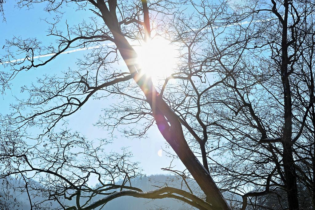 leden_003_01.jpg - dolní žleb