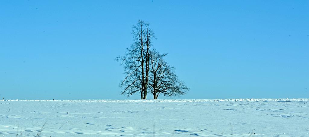 leden_003_15.jpg - dolní žleb