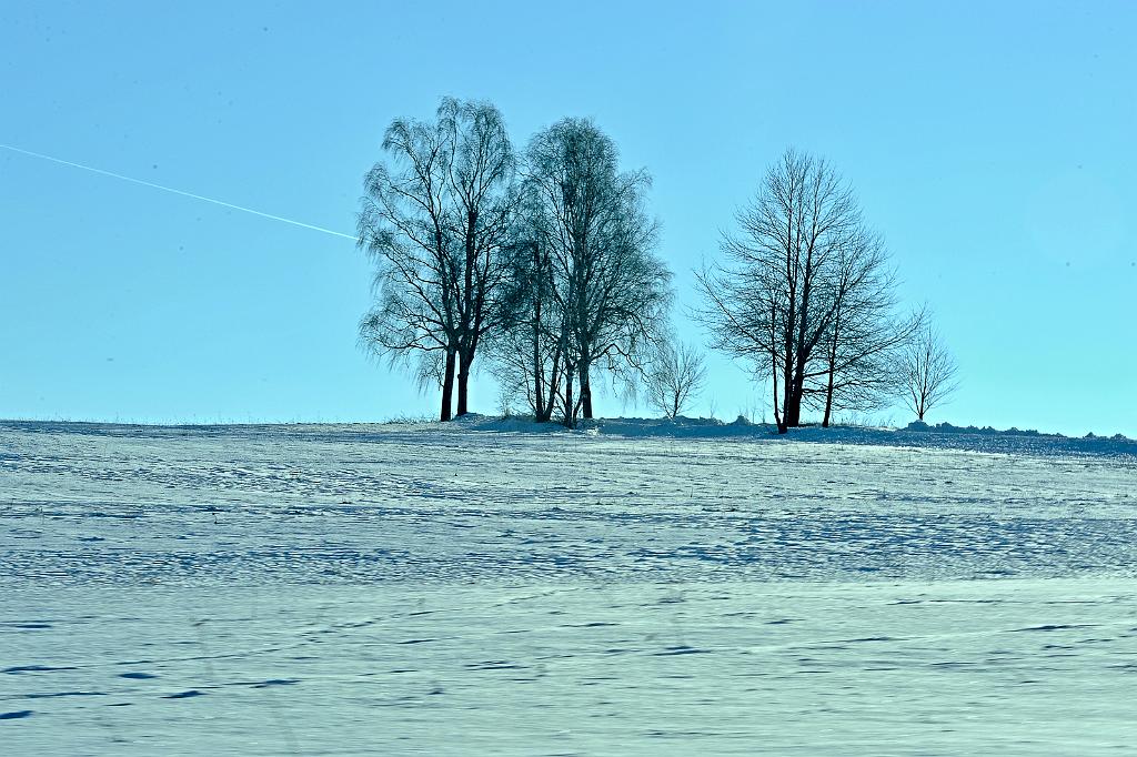 leden_003_16.jpg - dolní žleb