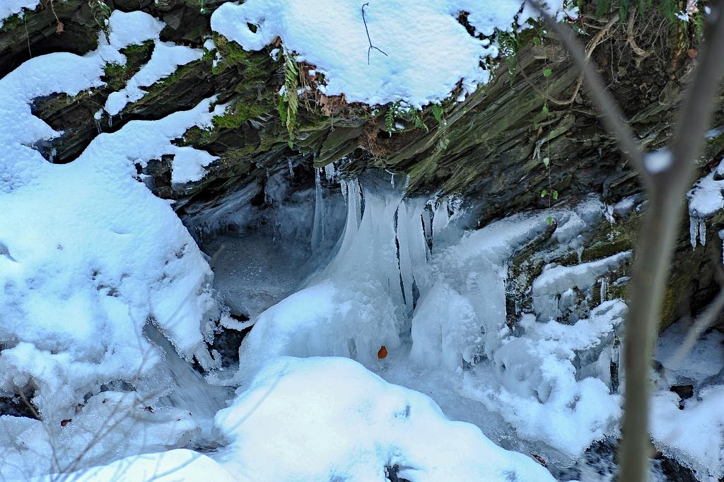 leden_004_03.jpg - Paseka