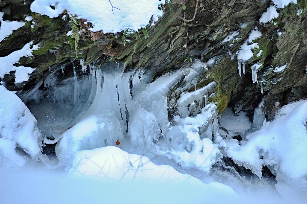 leden_004_05.jpg - Paseka