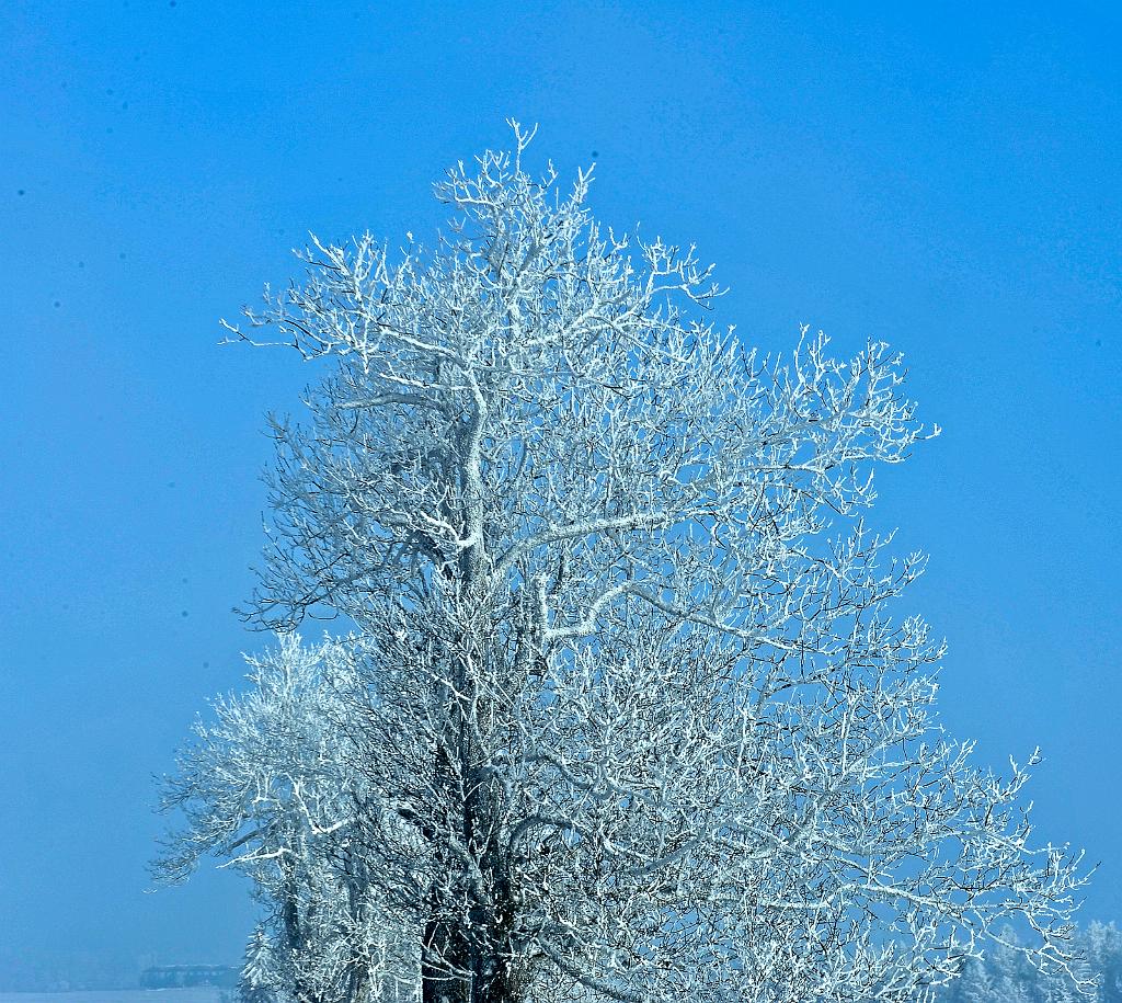 leden_007_03.jpg - Kružberk
