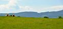cerven_001_10