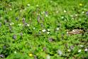 duben_002_02