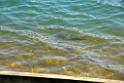 duben_063_02