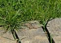 duben_063_04