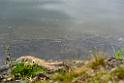 kveten_002_10