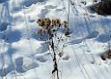 leden_007_19
