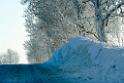 leden_007_21