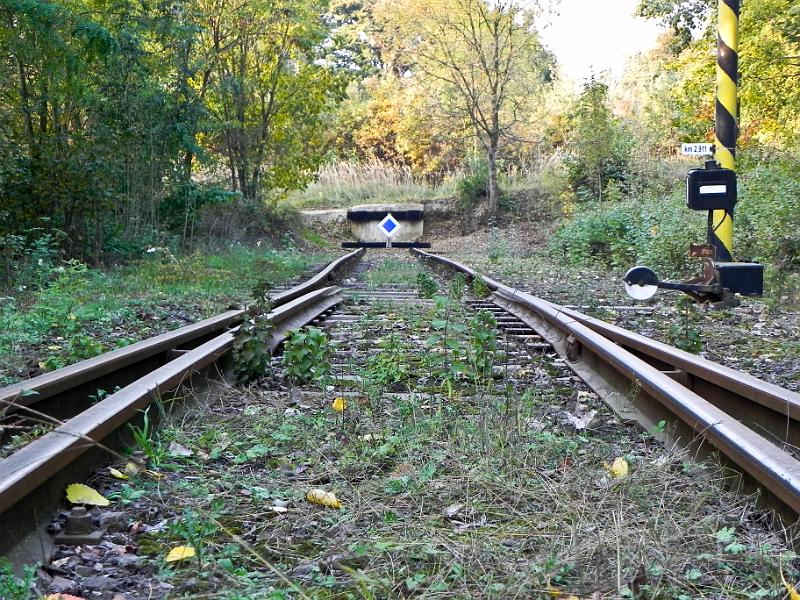 DSCN1528.jpg