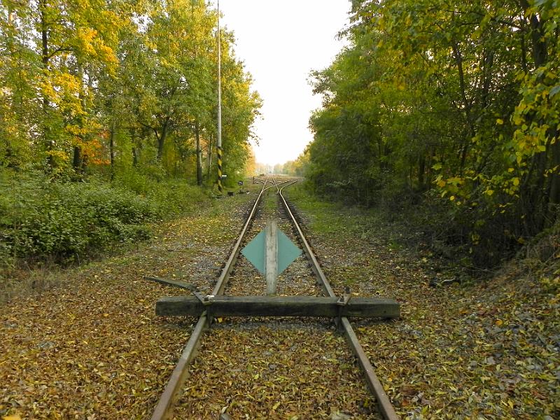 DSCN1548.jpg