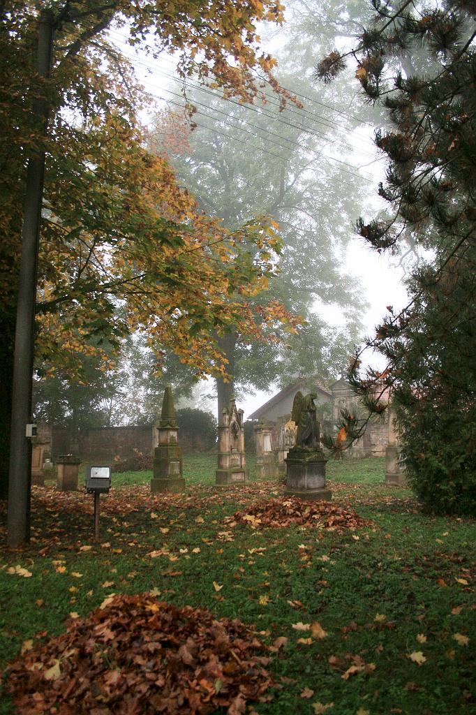 111022-07.jpg - Želelznice - starý hřbitov