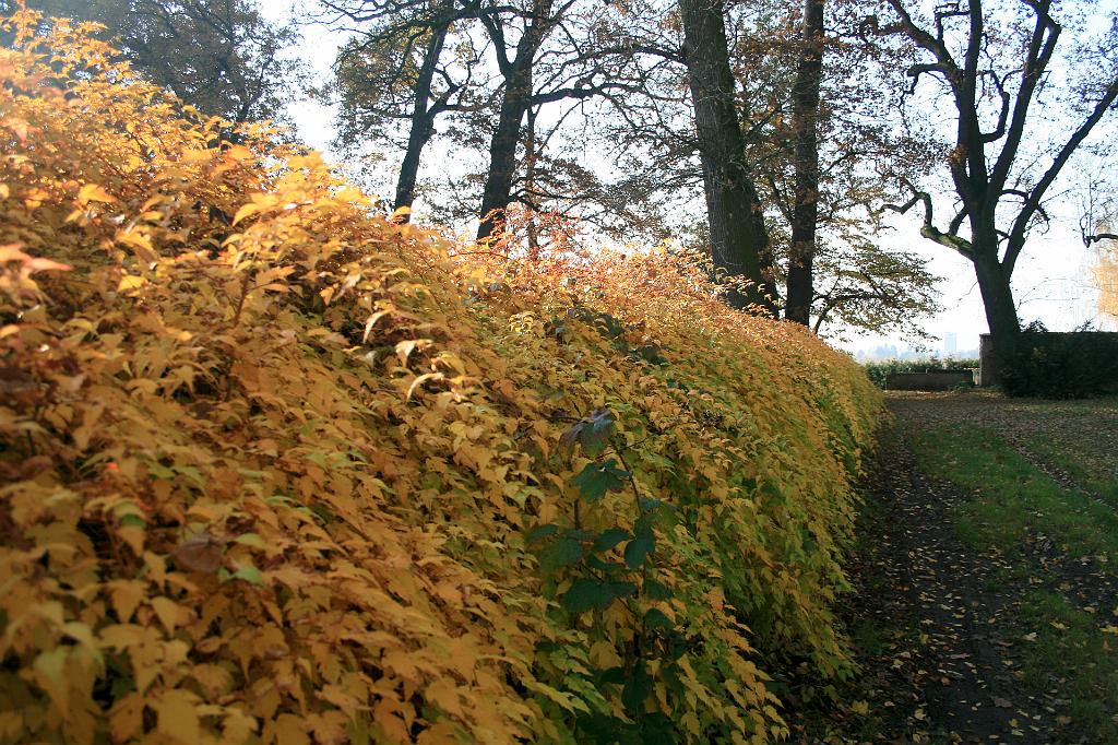 111106-21.jpg - Jičín - Valdštejnská lodžie - park