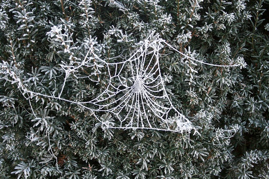 111116-29.jpg - Jinovatka