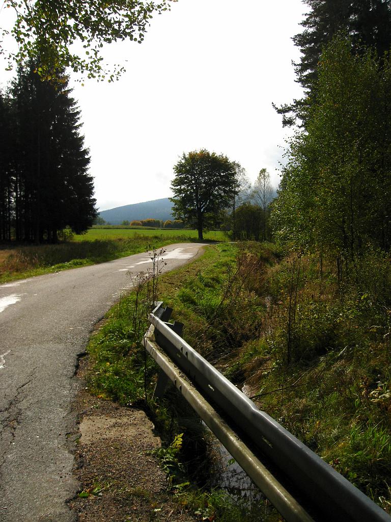 IMG_6556.jpg
