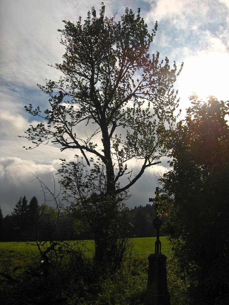 IMG_6598.jpg