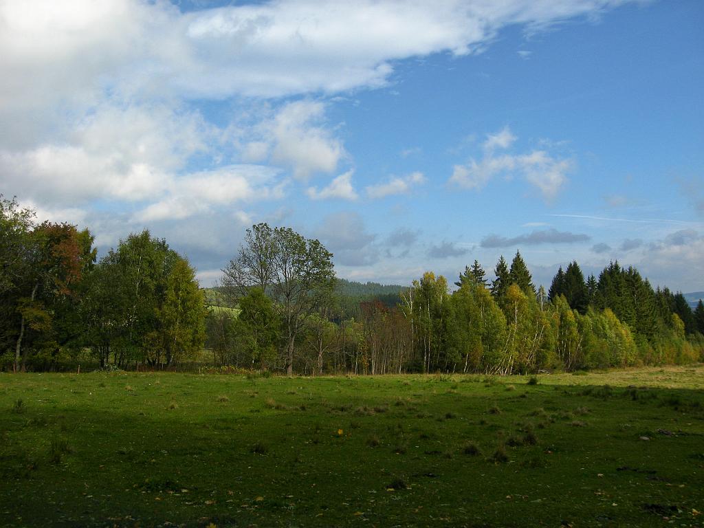IMG_6604.jpg
